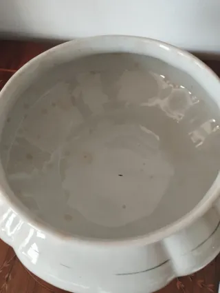 Sopera Pickman Antigua