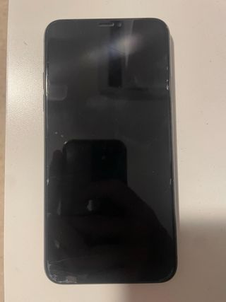 iPhone 11 Pro Max 64GB Gris
