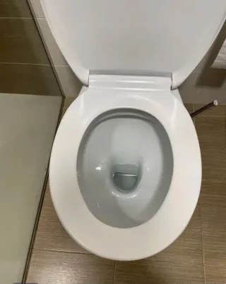 Inodoro blanco porcelana