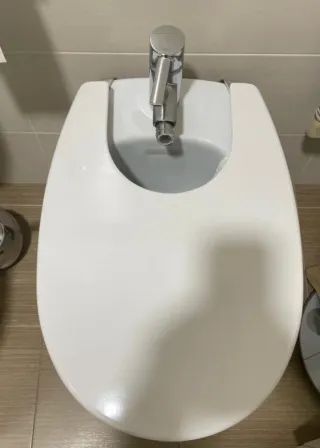 Inodoro blanco porcelana