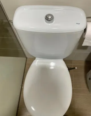 Inodoro blanco porcelana