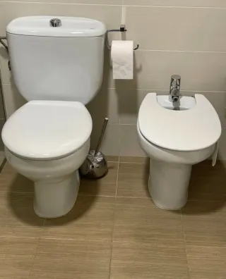 Inodoro blanco porcelana