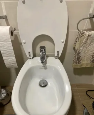 Inodoro blanco porcelana