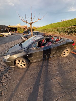 Peugeot 307 cc 180cv 2004