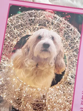 Puzzle Clementoni Cane 180 pezzi