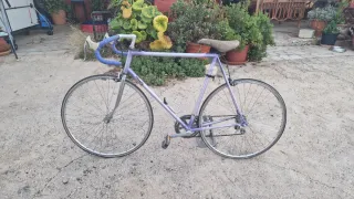 Bicicleta Clásica Morada