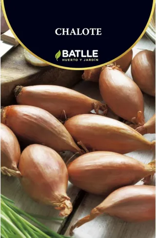 Chalotes, cebollas blancas y stuttgart
