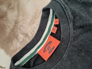 Camiseta Superdry Gris