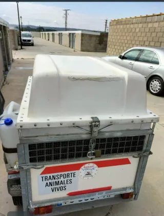 Remolque coche con tapa