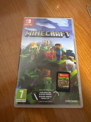 Minecraft Nintendo Switch
