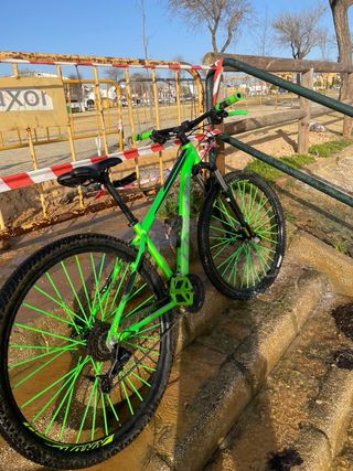 Bicicleta de montaña verde