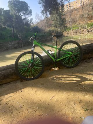 Bicicleta de montaña verde