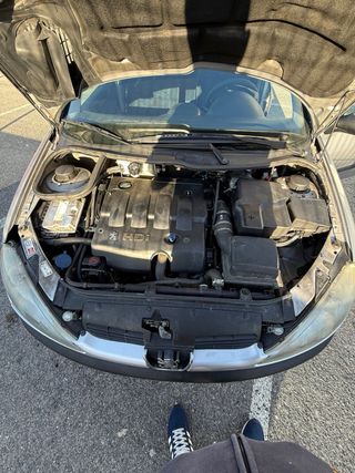 Peugeot 206 2.0 hdi 90 cv