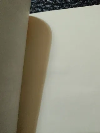 LA ANSIEDAD (CLAVES) (Spanish Edition)