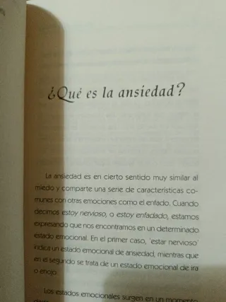 LA ANSIEDAD (CLAVES) (Spanish Edition)