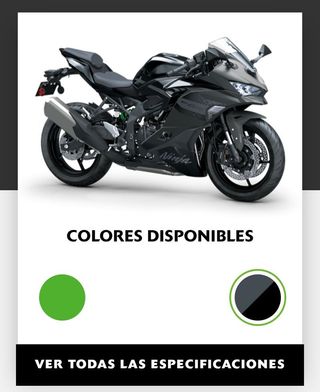 2026 OFERTA KAWASAKI ZX-4R/RR MIRA DESCRIPCIÓN 8