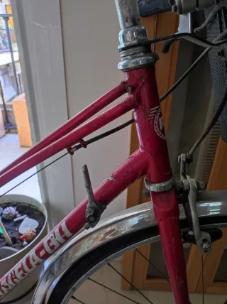 Bicicleta Gacela BH Roja