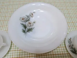 Vajilla Arcopal Margaritas (Daisy)