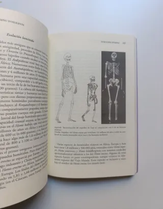 Darwin y el diseño inteligente.