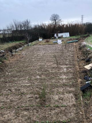 Alquiler Huerto 1158 m2 en Guisona Escocho ofertas