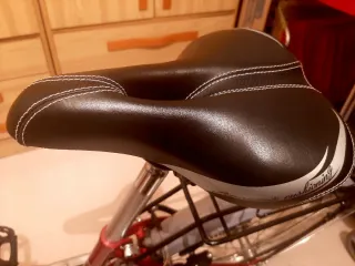 Bicicleta Paseo marca COLUER