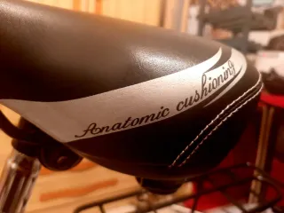 Bicicleta Paseo marca COLUER