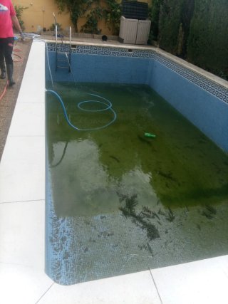 Servicios de piscinas y jardines en Sevilla