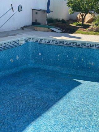 Servicios de piscinas y jardines en Sevilla