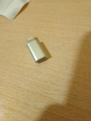 Adaptador Lightning a USB-C Plata
