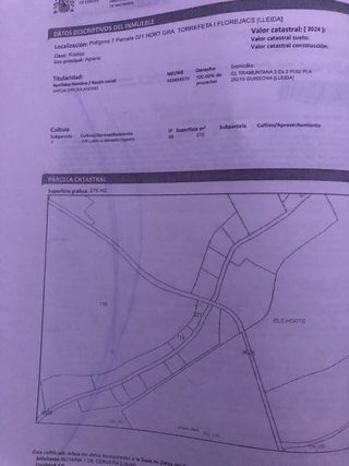 Huerto 275 m2 con 5 árboles en Guisona