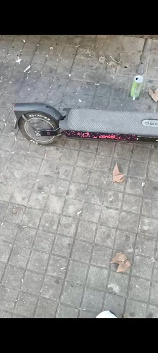 Patinete Eléctrico Xiaomi Pro 5