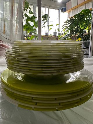 Conjunto vajilla cristal flores verde y blanco