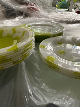 Conjunto vajilla cristal flores verde y blanco