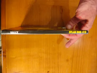 Dylan Dog - Albachiara e Sally