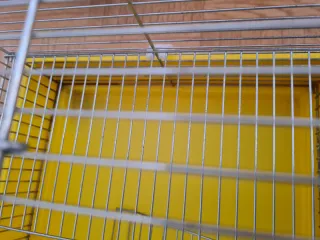 Jaula para hámster con accesorios