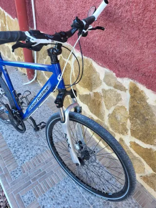 Bicicleta Todocamino XL