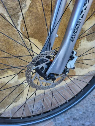 Bicicleta Todocamino XL