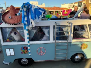 Disfraz de Carnaval/Fiesta