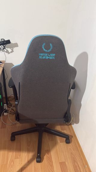 Silla Gamer This is my Throne