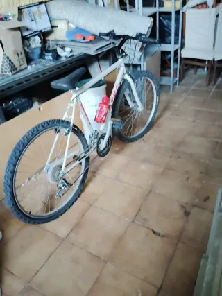 Bicicleta de Montaña