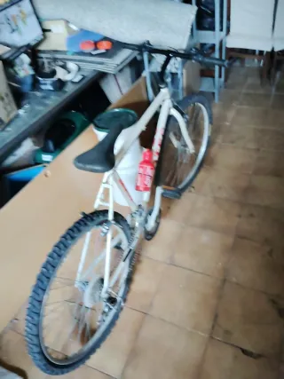 Bicicleta de Montaña