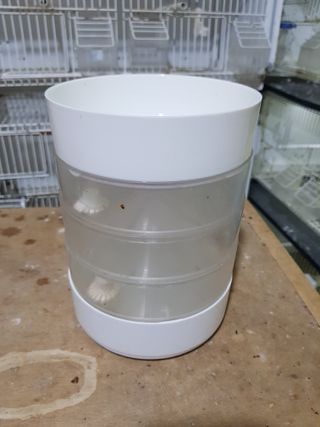 Germinador de semillas transparente