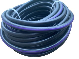 Mangueira jardim Preto e roxo.