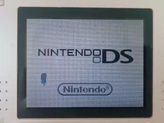 Nintendo DS Fat Rosa + 2 Juegos