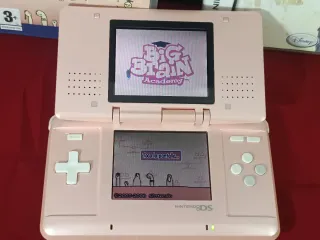 Nintendo DS Fat Rosa + 2 Juegos