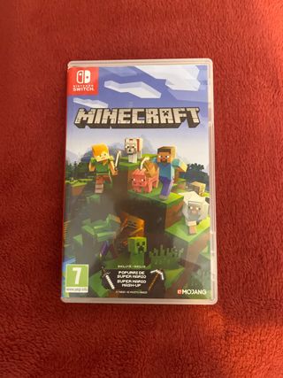 Minecraft Nintendo Switch