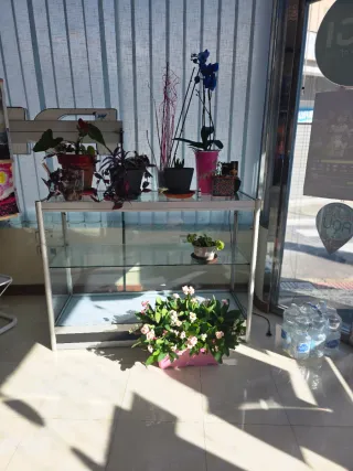 Vitrina expositora cristal y metal