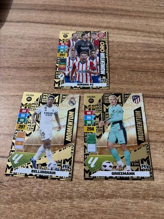 Lote cromos Adrenalyn XL 23/24