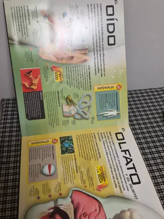 OFERTÓN EL INCREÍBLE CUERPO HUMANO