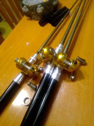 Lote 3 Cañas Telescópicas Bolígrafo